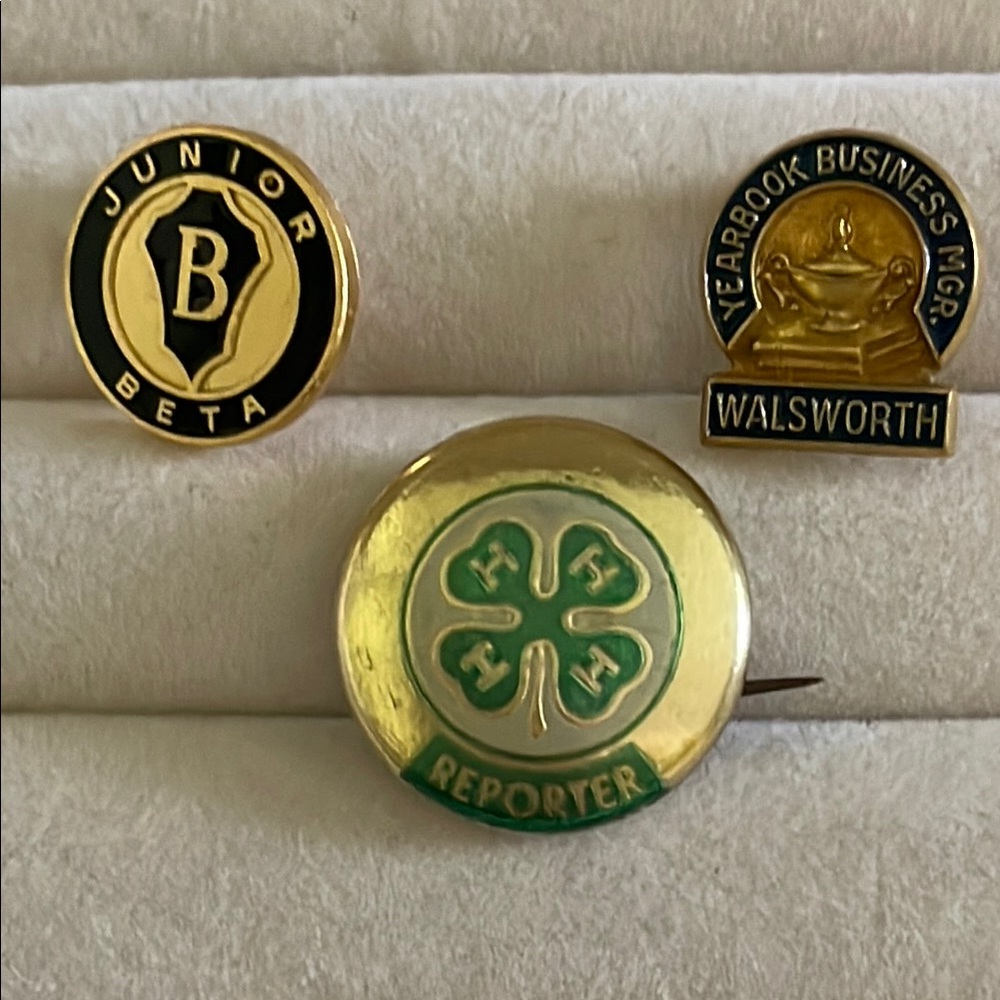 Gold and Green Reporter Pin